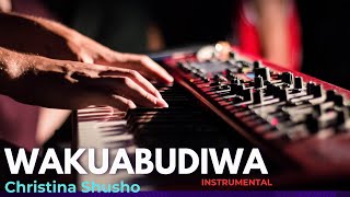 WAKUABUDIWA INSTRUMENTAL | CHRISTINA SHUSHO | SWAHILI WORSHIP BEATS #swahiliworship