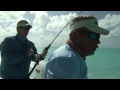 andros cuda 23 bahamas shark fishing