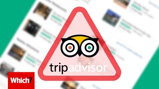 TripAdvisor’s fake hotel reviews - Which?