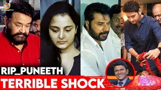 Puneeth Rajkumar ന് ആദരാഞ്ജലികൾ അർപ്പിച്ച് സിനിമ ലോകം 😭 | Mammootty | Mohanlal | Manju Warrier |