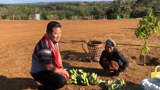 ទៀ វិចិត្រ TEA VICHET CAMBODIA 🇰🇭