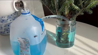 Science 4 Everyone: How to DIY a Christmas tree watering device at home | NBC4 Washington