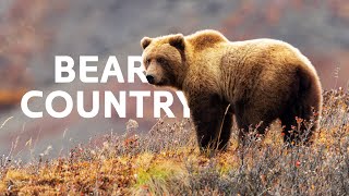 Scarface: The Grizzly Bears Of Yellowstone National Park | Grizzly Country Documentary