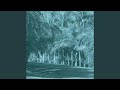 Spirited Music for Echo