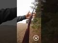 Очень старая немецкая мелкашка Weekend Erfurt 1919 года #охота #оружие #hunter #hunting #gun