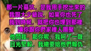 那一片墓坑，是我用手挖出來的，我跟大少爺說，如果你也死了，我到時候，就把你也埋到那裡，讓你跟你們家裡人團聚，他問我，那你呢，我呵了一聲，目光堅毅，我總要給他們報仇