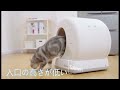 ubpet自動猫トイレ