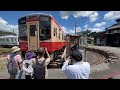 230826 天竜二俣駅 転車台 u0026鉄道歴史館 見学ツアーに行って来た！