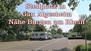 Stellplatz Gau-Algesheim - Nähe Bingen am Rhein