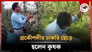 ইঞ্জিনিয়ারিং ছেড়ে ক্ষেত খামার করে মুখে হাসি কামাল পারভেজের | Agriculture | Chattogram | Kalbela