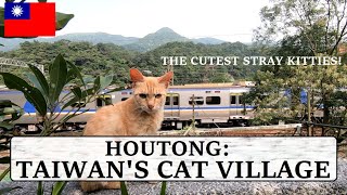 Exploring Taiwan's Cat Village: Houtong (WARNING: HEAVY PETTING) | Taiwan Travel Vlog