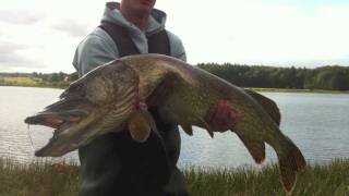 Huge Pike