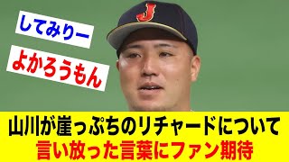 山川が崖っぷちのリチャードについて言い放った言葉にファン期待【野球情報反応スレ】【2ch 5ch】【なんJ なんG】