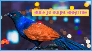Bole Jo Koyal Bago Me - Lyrics | Chudi Jo Khankee | Bheegi Bheegi Raaton Mein