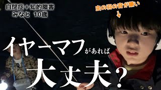 【自閉症】虫の音が苦手な聴覚過敏の息子がイヤーマフをしたら…