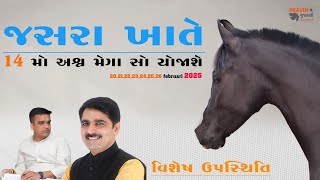 જસરા ખાતે 14 મો અશ્વ મેગા સો યોજાશે / jasra 2025 horse show