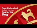 2021 Chinese Zodiac Forecast – Dog (Presented by OCBC Securities)