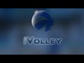 specialvolley grande rovesciata assist di petric per ngapeth