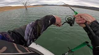 lake eildon 19/12/25 Murray cod and yellowbelly fishing