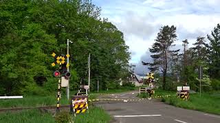 【根室本線 踏切】新緑の先に古い牛舎が見る　清水12号踏切を通過するJR北海道DECMO（H100形）