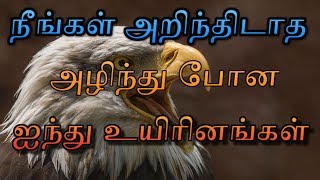 RAABA MEDIA | நீங்கள் அறிந்திடாத அழிந்து போன ஐந்து உயிரினங்கள்.