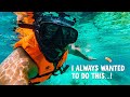 Magical Views of Koh Tao Nang Yuan Island and Snorkeling Thailand Trip 17 🇹🇭