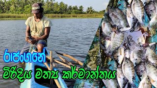 මිරිදිය මත්ස්‍ය කර්මාන්තය / mathsya karmanthaya / Freshwater fisheries /වැවෙන් මාළු ඇල්ලීම