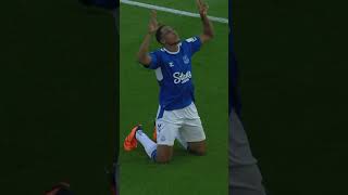 YERRY MINA SCORES IN THE 99TH MINUTE AT WOLVES!  #premierleague #everton #football