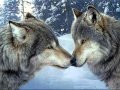 Canto del lobo - Nahuatl