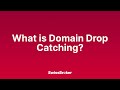 What is the meaning of Domain Drop Catching? [Audio Explainer]