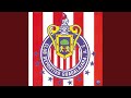 Chivas