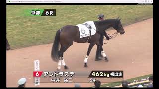 【パドック】 中内田 充正厩舎のアンドラステ 角居 勝彦厩舎のクインオブザシーズは3着 2019年1月20日（日曜） 1回京都7日 6R メイクデビュー京都 芝 1600m