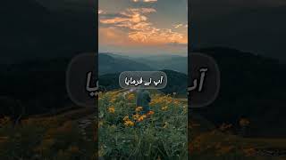Hamare Huzoor ﷺ Ki 6 khubsurat Hadees | Urdu Status
