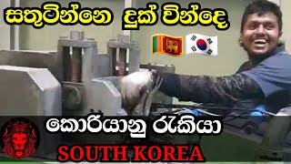 South korea ( දුක් විදලම ගොඩ යන අපේ කොල්ලො )