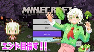 【マイクラ】エンド目指してサバイバル！！