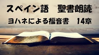 Spanish Bible John14　スペイン語聖書朗読　ヨハネによる福音書14章