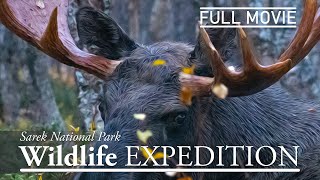 MOUNTAIN WILDERNESS TOUR SWEDEN | WILDLIFE in EUROPE Wilderness Remote Tour SAREK NATIONAL PARK