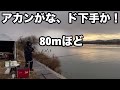 【鯉釣り】鯉の紀州釣り・紀の川【3日目】今日はダメ、魚というのがいない