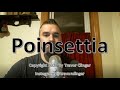 How To Pronounce Poinsettia