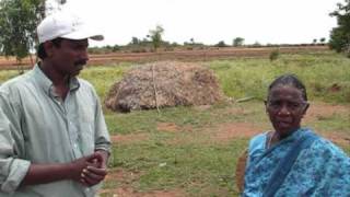 Chilli-Tobacco Elephant Barrier Experiment - A Rocha India