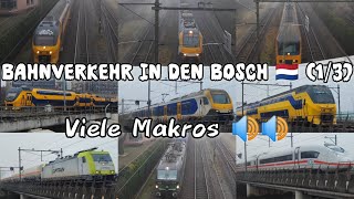 Bahnverkehr in Den Bosch 🇳🇱 (1/3) Treinen in S'hertogenbosch