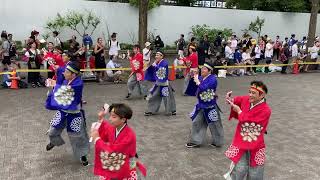 りぐる『りぐるボンボヤージュ』／原宿表参道元氣祭 スーパーよさこい2023【本祭1日目】（2023/08/26）@NHK前ストリート