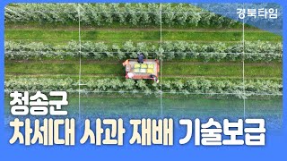 청송군, 차세대 미래형 과원 재배기술로대한민국 최고 사과 주산지 명성 이어간다!