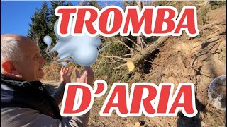 TORNADO COLPISCE LARICI E ABETI A ROCCABRUNA (CN) 🚫REGIONE PIEMONTE VIETATI 🚫 ABBRUCIAMENTI🚫