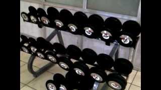 Gym Fitness Equipment Manufacturer in India   Syndicate