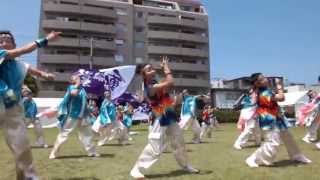 K one動流夢さん　 湘南よさこい祭り2013