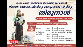 നൊവേന |04.00PM | 14 FEBRUARY 2025 | FRIDAY |കലൂർ വി.അന്തോണീസിൻ്റെ  തീർത്ഥാടന കേന്ദ്രം