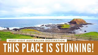 TRAVEL: Exploring Phillip Island