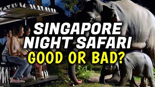 Singapore Night Safari Review │ Things To Do in Singapore