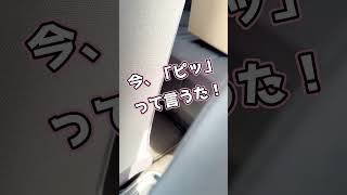 【夏に便利！】暑い車内で飲み物をキンキンに冷やす車載冷蔵庫とは？#shorts